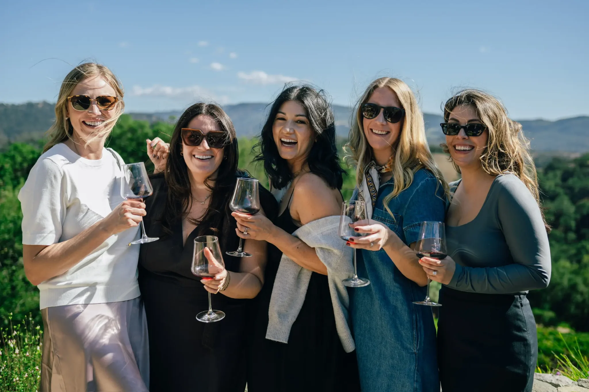 Napa wine country aerial — example landing page hero